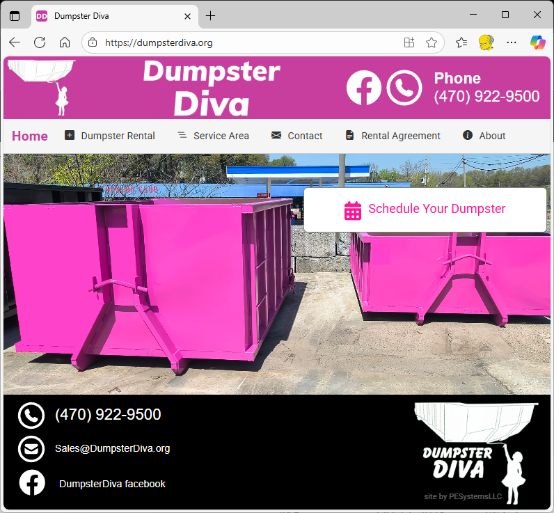 Dumpster Diva homepage screenshot